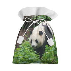 Подарочный 3D мешок с принтом Панда в лесу , 100% полиэстер | Размер: 29*39 см | Тематика изображения на принте: животные | лес | медведь | медвежонок | панда | природа