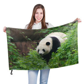Флаг 3D с принтом Панда в лесу , 100% полиэстер | плотность ткани — 95 г/м2, размер — 67 х 109 см. Принт наносится с одной стороны | животные | лес | медведь | медвежонок | панда | природа