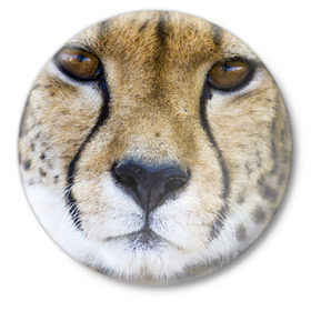 Значок с принтом Гепард ,  металл | круглая форма, металлическая застежка в виде булавки | Тематика изображения на принте: амурский | гепард | животные | зверь | киса | кот | котенок | кошка | лев | леопард | пума | рысь | серый | тигр | тигренок | хищник