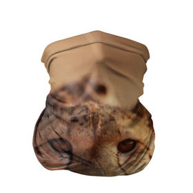 Бандана-труба 3D с принтом Гепард , 100% полиэстер, ткань с особыми свойствами — Activecool | плотность 150‒180 г/м2; хорошо тянется, но сохраняет форму | амурский | гепард | животные | зверь | киса | кот | котенок | кошка | лев | леопард | пума | рысь | серый | тигр | тигренок | хищник