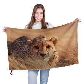 Флаг 3D с принтом Гепард , 100% полиэстер | плотность ткани — 95 г/м2, размер — 67 х 109 см. Принт наносится с одной стороны | Тематика изображения на принте: амурский | гепард | животные | зверь | киса | кот | котенок | кошка | лев | леопард | пума | рысь | серый | тигр | тигренок | хищник