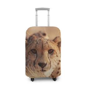 Чехол для чемодана 3D с принтом Гепард , 86% полиэфир, 14% спандекс | двустороннее нанесение принта, прорези для ручек и колес | амурский | гепард | животные | зверь | киса | кот | котенок | кошка | лев | леопард | пума | рысь | серый | тигр | тигренок | хищник