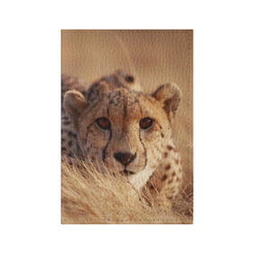 Обложка для паспорта матовая кожа с принтом Гепард , натуральная матовая кожа | размер 19,3 х 13,7 см; прозрачные пластиковые крепления | Тематика изображения на принте: амурский | гепард | животные | зверь | киса | кот | котенок | кошка | лев | леопард | пума | рысь | серый | тигр | тигренок | хищник