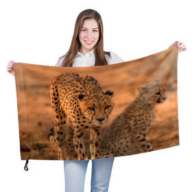 Флаг 3D с принтом Гепард , 100% полиэстер | плотность ткани — 95 г/м2, размер — 67 х 109 см. Принт наносится с одной стороны | амурский | гепард | животные | зверь | киса | кот | котенок | кошка | лев | леопард | пума | рысь | серый | тигр | тигренок | хищник