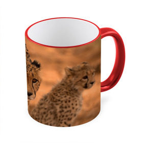Кружка 3D с принтом Гепард , керамика | ёмкость 330 мл | Тематика изображения на принте: амурский | гепард | животные | зверь | киса | кот | котенок | кошка | лев | леопард | пума | рысь | серый | тигр | тигренок | хищник