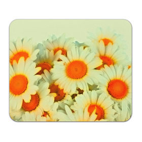 Коврик прямоугольный с принтом Подсолнух , натуральный каучук | размер 230 х 185 мм; запечатка лицевой стороны | flower | лето | полевой цветок | цветочки | цветы