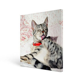 Холст квадратный с принтом Кошка , 100% ПВХ |  | Тематика изображения на принте: cat | collar | heel | licking | lying | red | striped | кошка | красный | лежит | лижет | ошейник | полосатая | пятка