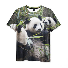Мужская футболка 3D с принтом Семейка панд , 100% полиэфир | прямой крой, круглый вырез горловины, длина до линии бедер | бамбук | животное | зверь | косолапый | лес | медведи | медведь | миша | мишка | мишутка | млекопитающее | панда | природа | трое