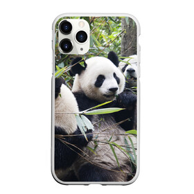 Чехол для iPhone 11 Pro Max матовый с принтом Семейка панд , Силикон |  | Тематика изображения на принте: бамбук | животное | зверь | косолапый | лес | медведи | медведь | миша | мишка | мишутка | млекопитающее | панда | природа | трое