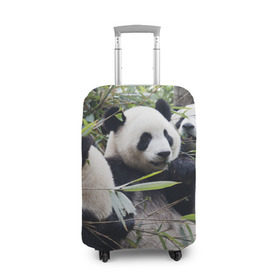Чехол для чемодана 3D с принтом Семейка панд , 86% полиэфир, 14% спандекс | двустороннее нанесение принта, прорези для ручек и колес | бамбук | животное | зверь | косолапый | лес | медведи | медведь | миша | мишка | мишутка | млекопитающее | панда | природа | трое
