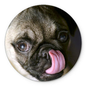 Коврик круглый с принтом Мопс , резина и полиэстер | круглая форма, изображение наносится на всю лицевую часть | бульдог | мопс | мопсик | мопсы | пес | песик | песики | собака | собаки | собачка