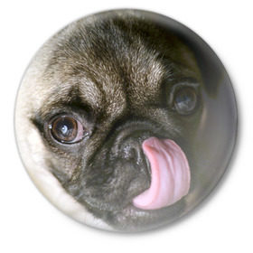 Значок с принтом Мопс ,  металл | круглая форма, металлическая застежка в виде булавки | бульдог | мопс | мопсик | мопсы | пес | песик | песики | собака | собаки | собачка