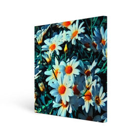 Холст квадратный с принтом Полевые ромашки , 100% ПВХ |  | flower | лето | полевой цветок | цветочки | цветы