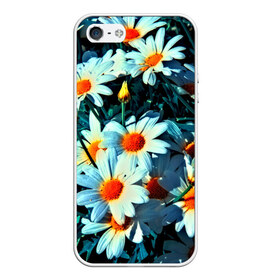 Чехол для iPhone 5/5S матовый с принтом Полевые ромашки , Силикон | Область печати: задняя сторона чехла, без боковых панелей | flower | лето | полевой цветок | цветочки | цветы