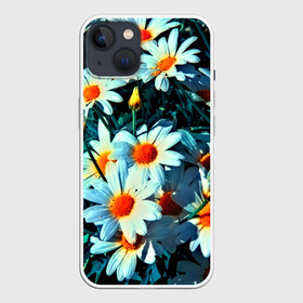 Чехол для iPhone 13 с принтом Полевые ромашки ,  |  | flower | лето | полевой цветок | цветочки | цветы