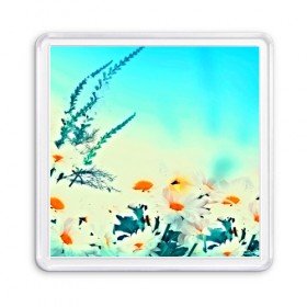 Магнит 55*55 с принтом chamomile , Пластик | Размер: 65*65 мм; Размер печати: 55*55 мм | flower | лето | полевой цветок | цветочки | цветы
