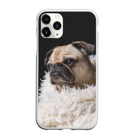 Чехол для iPhone 11 Pro матовый с принтом Мопс , Силикон |  | бульдог | мопс | мопсик | мопсы | пес | песик | песики | собака | собаки | собачка