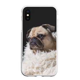 Чехол для iPhone XS Max матовый с принтом Мопс , Силикон | Область печати: задняя сторона чехла, без боковых панелей | бульдог | мопс | мопсик | мопсы | пес | песик | песики | собака | собаки | собачка