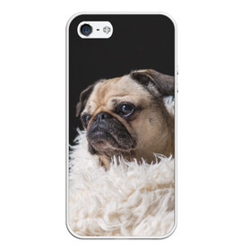 Чехол для iPhone 5/5S матовый с принтом Мопс , Силикон | Область печати: задняя сторона чехла, без боковых панелей | бульдог | мопс | мопсик | мопсы | пес | песик | песики | собака | собаки | собачка