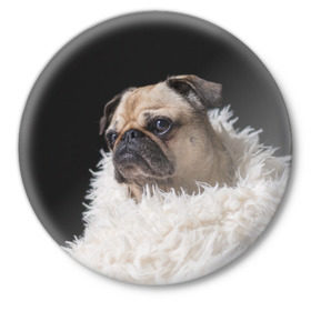 Значок с принтом Мопс ,  металл | круглая форма, металлическая застежка в виде булавки | Тематика изображения на принте: бульдог | мопс | мопсик | мопсы | пес | песик | песики | собака | собаки | собачка