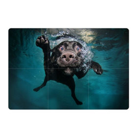 Магнитный плакат 3Х2 с принтом Пес дайвер , Полимерный материал с магнитным слоем | 6 деталей размером 9*9 см | вода | гребет | дайвер | животное | купается | лапы | нос | пес | плавец | плывет | под водой | прикольный | пузыри | смешной | собака | щенок