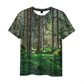 Мужская футболка 3D с принтом Темный лес , 100% полиэфир | прямой крой, круглый вырез горловины, длина до линии бедер | бор | деревья | ель | ельник | заповедник | камни | красивый | лес | лето | мох | мрачный | прекрасный | природа | флора | чудесный