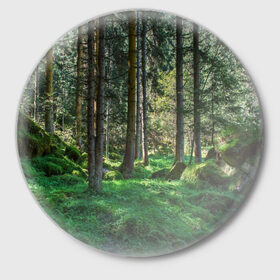 Значок с принтом Темный лес ,  металл | круглая форма, металлическая застежка в виде булавки | бор | деревья | ель | ельник | заповедник | камни | красивый | лес | лето | мох | мрачный | прекрасный | природа | флора | чудесный