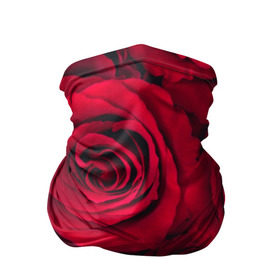 Бандана-труба 3D с принтом Красные розы , 100% полиэстер, ткань с особыми свойствами — Activecool | плотность 150‒180 г/м2; хорошо тянется, но сохраняет форму | 8 марта | букет | весна | дары флоры | женщине | красные | лепестки | лето | любовь | отношения | подарок | розы | романтика | флора | цветок | цветы