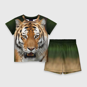Детский костюм с шортами 3D с принтом Тигр ,  |  | Тематика изображения на принте: дикая кошка | клыки | кошка | пасть | сафари | тигр | хищник