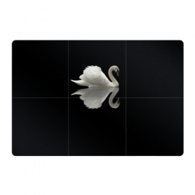 Магнитный плакат 3Х2 с принтом Белый лебедь , Полимерный материал с магнитным слоем | 6 деталей размером 9*9 см | Тематика изображения на принте: 