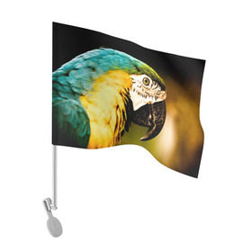 Флаг для автомобиля с принтом Попугай , 100% полиэстер | Размер: 30*21 см | двое | классный | клюв | красивый | крылья | попугай | попугайчик | птица | птичка | радужный