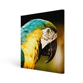 Холст квадратный с принтом Попугай , 100% ПВХ |  | Тематика изображения на принте: двое | классный | клюв | красивый | крылья | попугай | попугайчик | птица | птичка | радужный