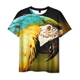 Мужская футболка 3D с принтом Попугай , 100% полиэфир | прямой крой, круглый вырез горловины, длина до линии бедер | двое | классный | клюв | красивый | крылья | попугай | попугайчик | птица | птичка | радужный