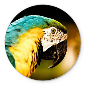 Коврик круглый с принтом Попугай , резина и полиэстер | круглая форма, изображение наносится на всю лицевую часть | двое | классный | клюв | красивый | крылья | попугай | попугайчик | птица | птичка | радужный