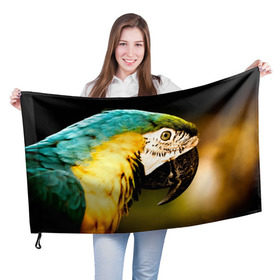 Флаг 3D с принтом Попугай , 100% полиэстер | плотность ткани — 95 г/м2, размер — 67 х 109 см. Принт наносится с одной стороны | двое | классный | клюв | красивый | крылья | попугай | попугайчик | птица | птичка | радужный