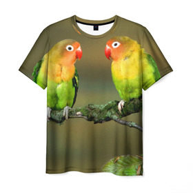 Мужская футболка 3D с принтом Попугаи , 100% полиэфир | прямой крой, круглый вырез горловины, длина до линии бедер | двое | классный | клюв | красивый | крылья | попугай | попугайчик | птица | птичка | радужный