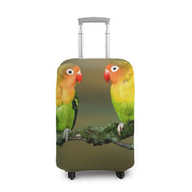 Чехол для чемодана 3D с принтом Попугаи , 86% полиэфир, 14% спандекс | двустороннее нанесение принта, прорези для ручек и колес | двое | классный | клюв | красивый | крылья | попугай | попугайчик | птица | птичка | радужный
