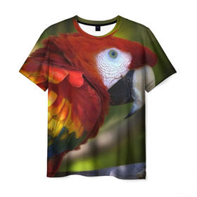 Мужская футболка 3D с принтом Попугайчик , 100% полиэфир | прямой крой, круглый вырез горловины, длина до линии бедер | 