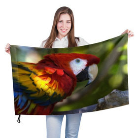 Флаг 3D с принтом Попугайчик , 100% полиэстер | плотность ткани — 95 г/м2, размер — 67 х 109 см. Принт наносится с одной стороны | 