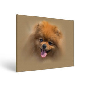 Холст прямоугольный с принтом Шпиц , 100% ПВХ |  | Тематика изображения на принте: shpic | животные | мордочка | пёс | рыжий | собака | собачка | язык