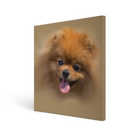 Холст квадратный с принтом Шпиц , 100% ПВХ |  | shpic | животные | мордочка | пёс | рыжий | собака | собачка | язык