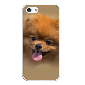 Чехол для iPhone 5/5S матовый с принтом Шпиц , Силикон | Область печати: задняя сторона чехла, без боковых панелей | shpic | животные | мордочка | пёс | рыжий | собака | собачка | язык