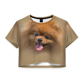 Женская футболка 3D укороченная с принтом Шпиц , 100% полиэстер | круглая горловина, длина футболки до линии талии, рукава с отворотами | shpic | животные | мордочка | пёс | рыжий | собака | собачка | язык