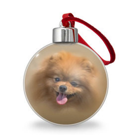 Ёлочный шар с принтом Шпиц , Пластик | Диаметр: 77 мм | shpic | животные | мордочка | пёс | рыжий | собака | собачка | язык