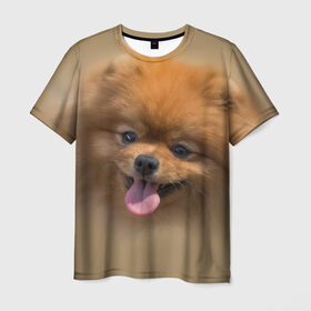 Мужская футболка 3D с принтом Шпиц , 100% полиэфир | прямой крой, круглый вырез горловины, длина до линии бедер | Тематика изображения на принте: shpic | животные | мордочка | пёс | рыжий | собака | собачка | язык