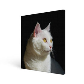 Холст квадратный с принтом Белая и пушистая , 100% ПВХ |  | Тематика изображения на принте: белый | взгляд | глаза | киска | кот | котёнок | кошка | пушистый