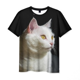 Мужская футболка 3D с принтом Белая и пушистая , 100% полиэфир | прямой крой, круглый вырез горловины, длина до линии бедер | белый | взгляд | глаза | киска | кот | котёнок | кошка | пушистый