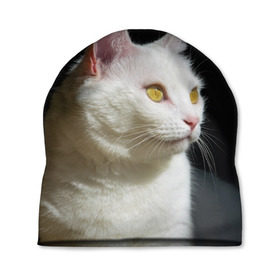 Шапка 3D с принтом Белая и пушистая , 100% полиэстер | универсальный размер, печать по всей поверхности изделия | белый | взгляд | глаза | киска | кот | котёнок | кошка | пушистый
