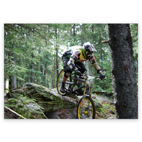 Поздравительная открытка с принтом Велоспорт гонка , 100% бумага | плотность бумаги 280 г/м2, матовая, на обратной стороне линовка и место для марки
 | велик | велосипед | гонка | горы | деревья | железный конь | колесо | лес | лисапед | природа | ровер | спорт | спортсмен | стальной конь | тандем | трицикл | шлем