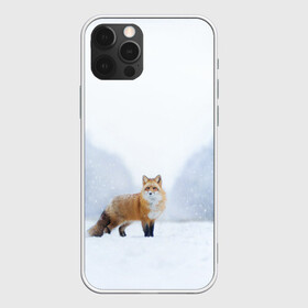 Чехол для iPhone 12 Pro с принтом лесная красотка , силикон | область печати: задняя сторона чехла, без боковых панелей | зима | лес | лиса | рыжая | снег | тайга